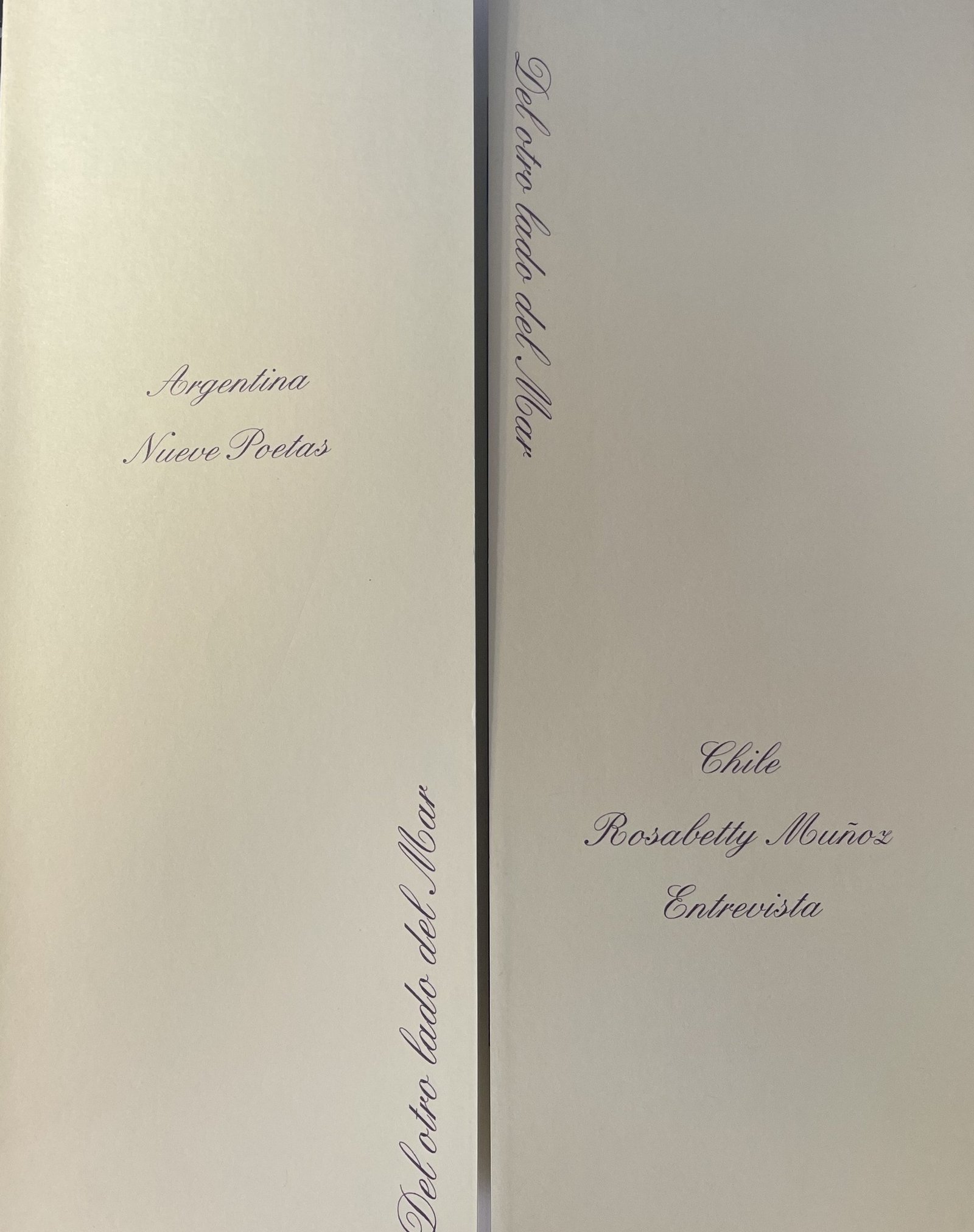 Plaquette Ficciones 4